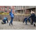Putukate otsimismäng